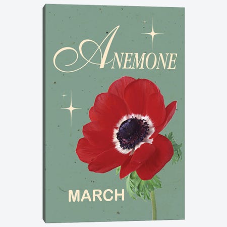 March Birth Flower Anemone Canvas Print #SHZ693} by Jania Sharipzhanova Art Print