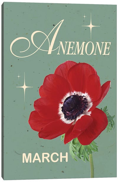 March Birth Flower Anemone Canvas Art Print - Anemone Art