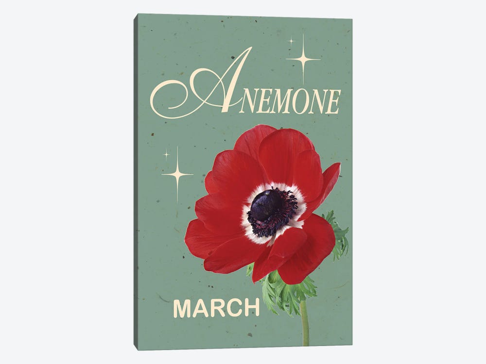March Birth Flower Anemone by Jania Sharipzhanova 1-piece Canvas Art