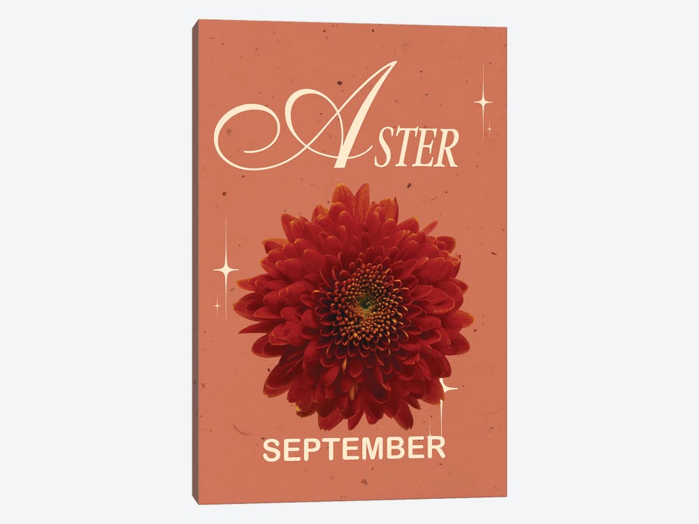 September Birth Flower Aster by Jania Sharipzhanova 1-piece Canvas Art Print