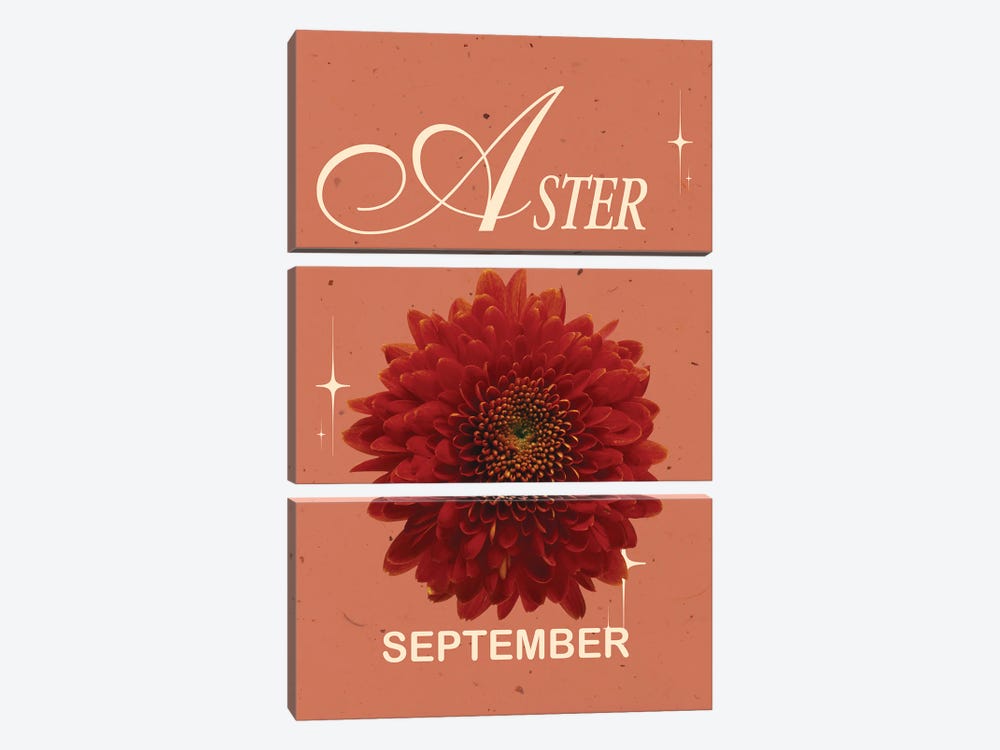 September Birth Flower Aster by Jania Sharipzhanova 3-piece Art Print