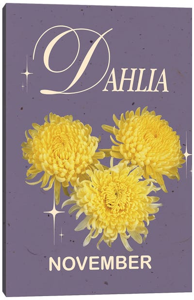 November Birth Flower Dahlia Canvas Art Print - Jania Sharipzhanova