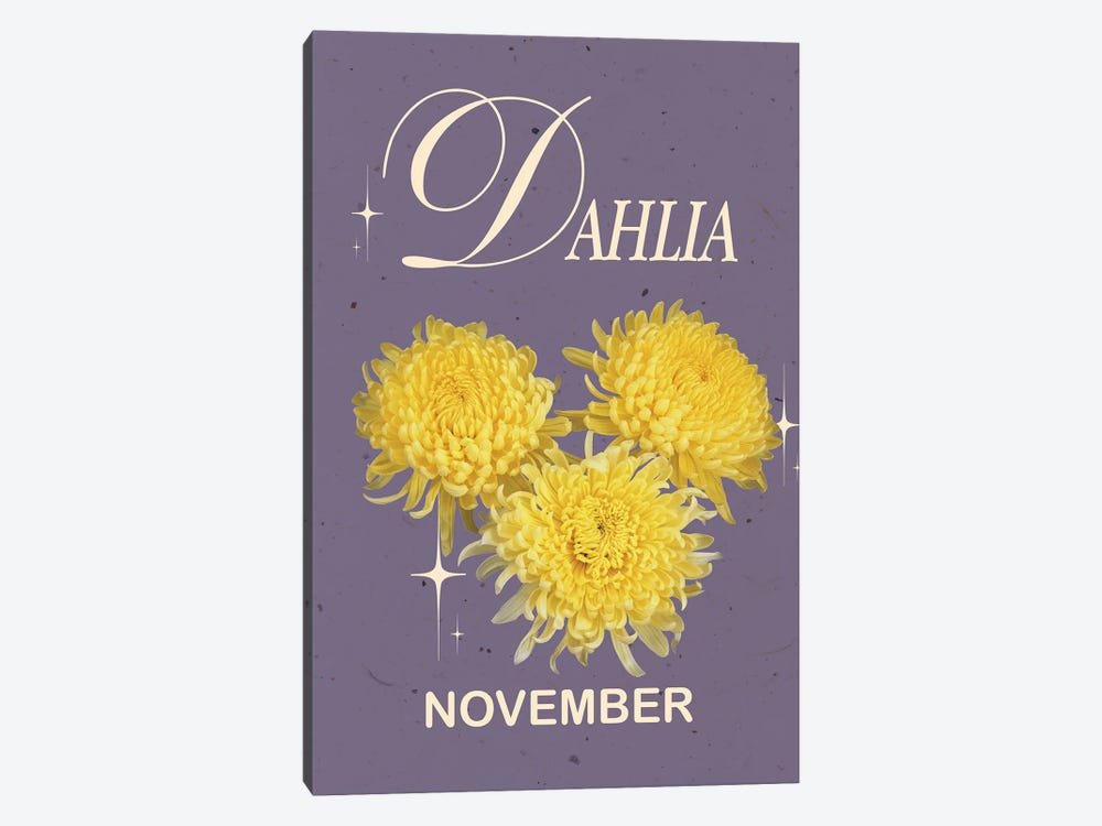 November Birth Flower Dahlia by Jania Sharipzhanova 1-piece Canvas Artwork