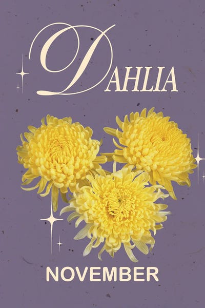 Dahlias: November Birth Flower Dahlia by Jania Sharipzhanova