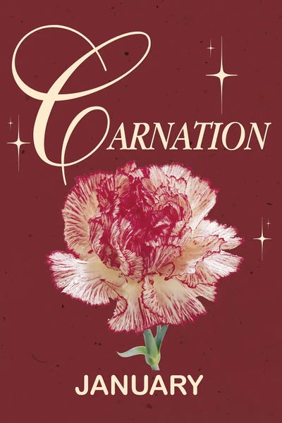 January Birth Flower Is Carnation by Jania Sharipzhanova art print