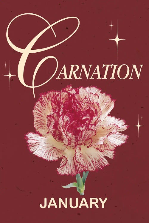 January Birth Flower Is Carnation