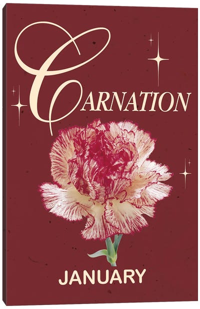 January Birth Flower Is Carnation Canvas Art Print - Carnation Art
