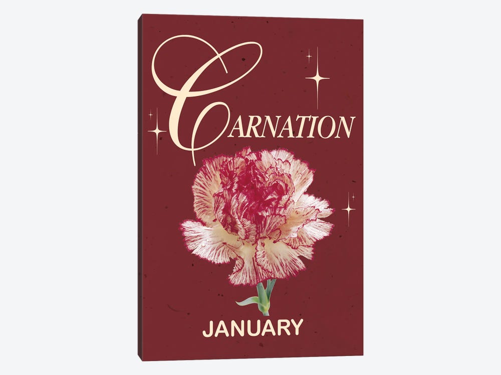 January Birth Flower Is Carnation by Jania Sharipzhanova 1-piece Canvas Art Print