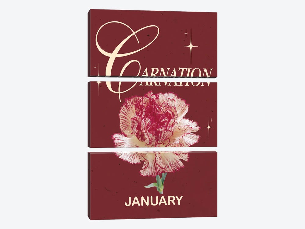 January Birth Flower Is Carnation by Jania Sharipzhanova 3-piece Art Print