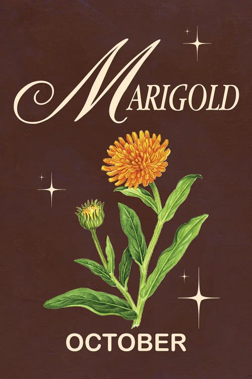 October Birth Flower Is Marigold