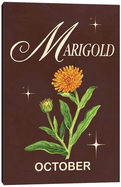 October Birth Flower Is Marigold Canvas Art Print