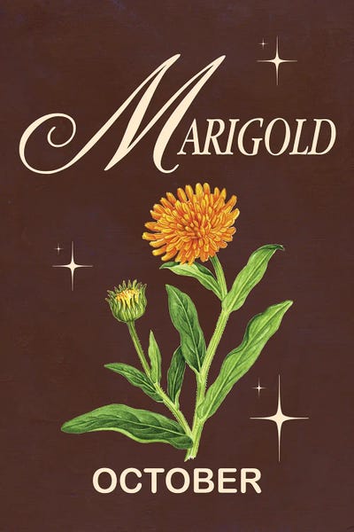 Marigolds: October Birth Flower Is Marigold by Jania Sharipzhanova