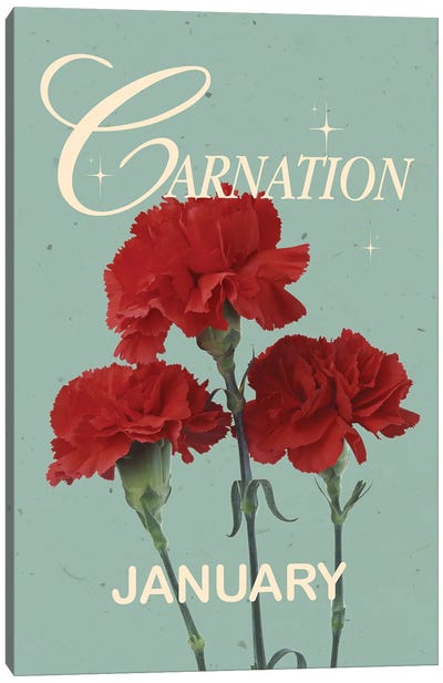 January Birth Flower Canvas Art Print - Carnation Art