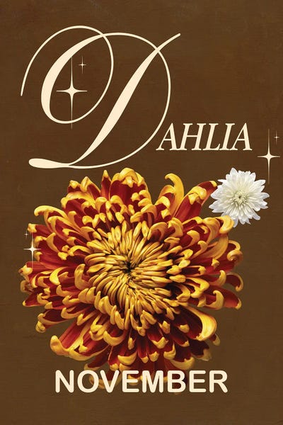 November Birth Flower by Jania Sharipzhanova multi panel art