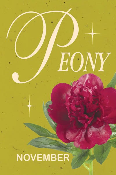 Jania Sharipzhanova: November Birth Flower Peony by Jania Sharipzhanova