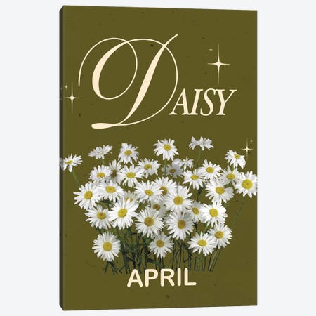 April Birth Flower Is Daisy Canvas Print #SHZ702} by Jania Sharipzhanova Art Print