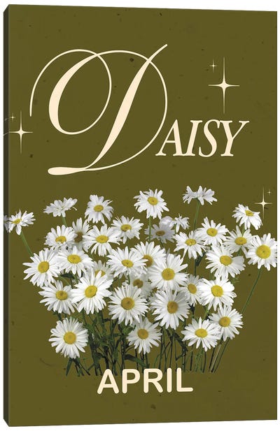 April Birth Flower Is Daisy Canvas Art Print - Jania Sharipzhanova