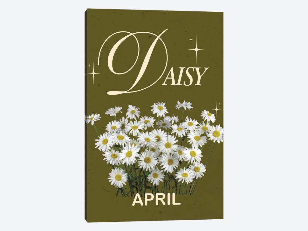 April Birth Flower Is Daisy by Jania Sharipzhanova 1-piece Canvas Print