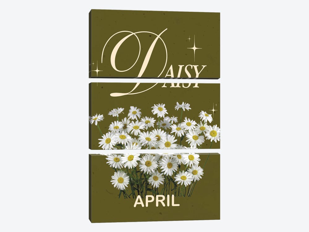 April Birth Flower Is Daisy by Jania Sharipzhanova 3-piece Canvas Art Print