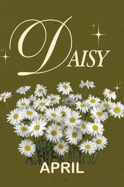 Daisies: April Birth Flower Is Daisy by Jania Sharipzhanova