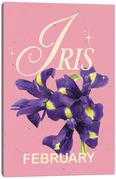 February Birth Flower Iris Canvas Art Print - Jania Sharipzhanova