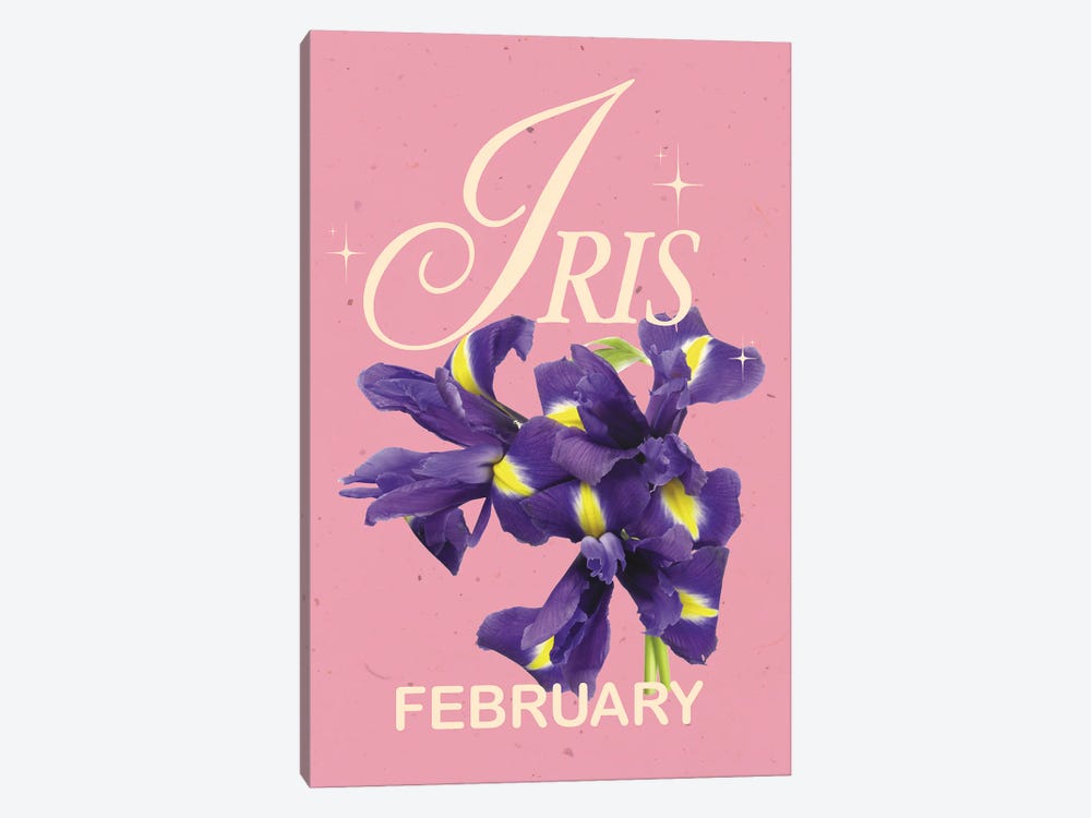 February Birth Flower Iris by Jania Sharipzhanova 1-piece Canvas Art