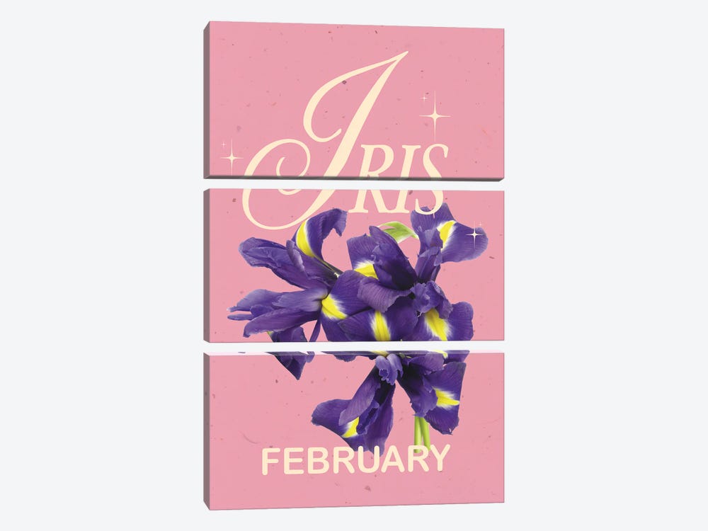February Birth Flower Iris by Jania Sharipzhanova 3-piece Canvas Art