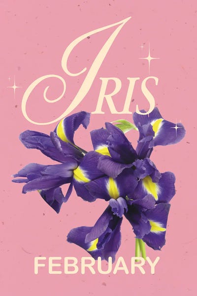 Irises: February Birth Flower Iris by Jania Sharipzhanova