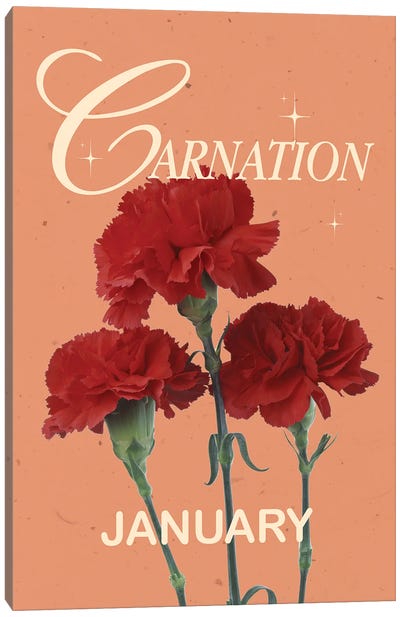 Carnation Birth Flower Canvas Art Print - Carnation Art