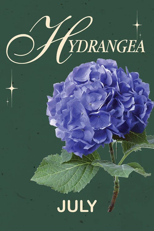 Hydrangea Birth Flower