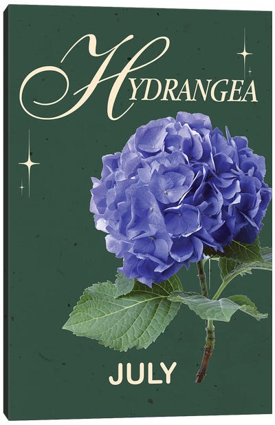Hydrangea Birth Flower Canvas Art Print - Jania Sharipzhanova