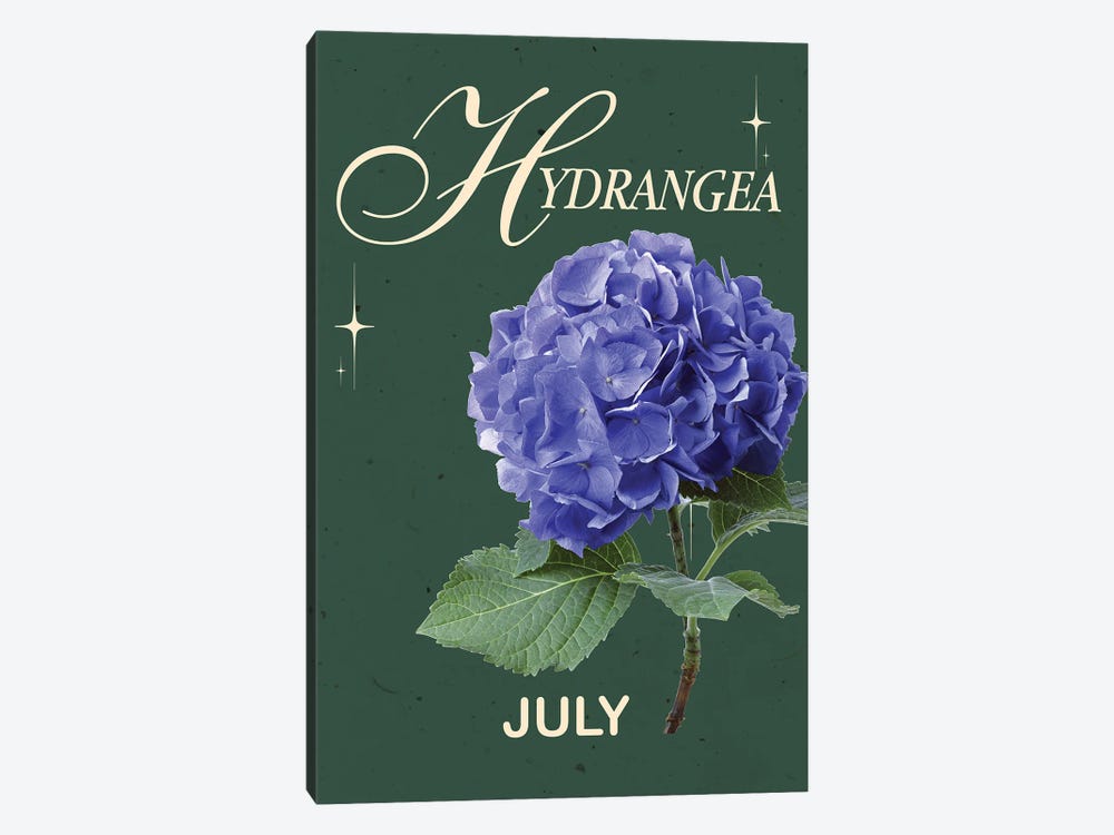 Hydrangea Birth Flower by Jania Sharipzhanova 1-piece Canvas Art Print