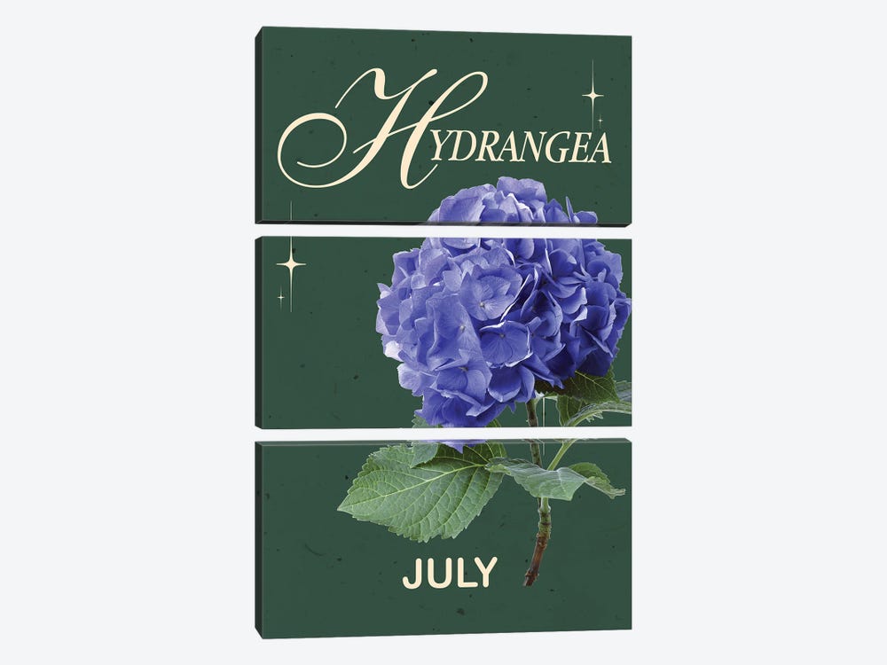 Hydrangea Birth Flower by Jania Sharipzhanova 3-piece Art Print