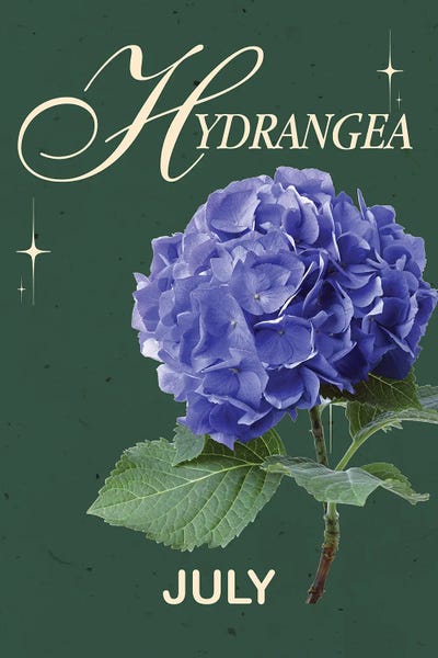 Hydrangeas: Hydrangea Birth Flower by Jania Sharipzhanova