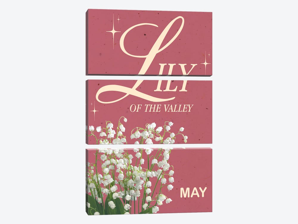 May Birth Flower Lily Of The Valley by Jania Sharipzhanova 3-piece Canvas Wall Art