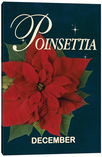 Poinsettia Birth Flower Canvas Art Print - Poinsettia Art