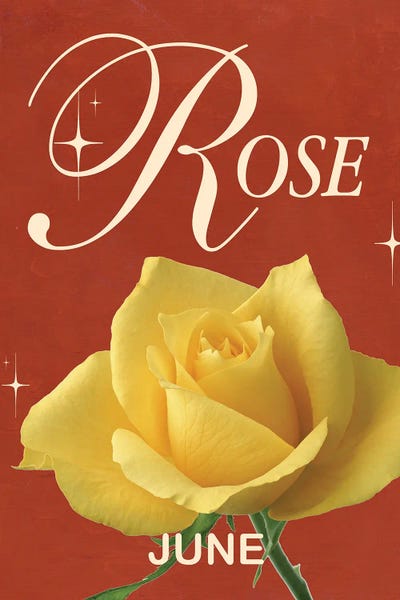 June Birth Flower Rose by Jania Sharipzhanova gallery poster