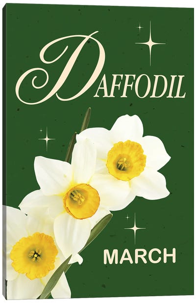 Daffodil Birth Flower Canvas Art Print - Jania Sharipzhanova