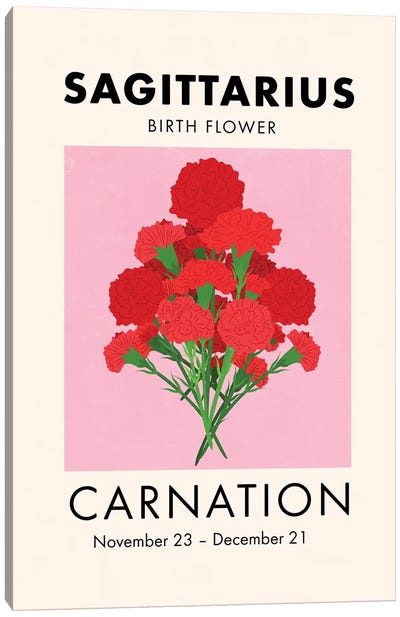 Sagittarius Birth Flower Canvas Art Print - Carnation Art