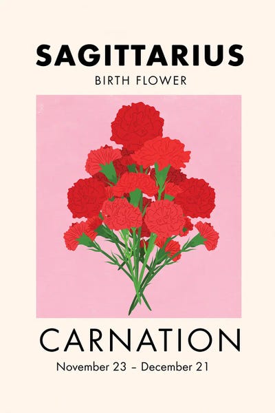 Sagittarius: Sagittarius Birth Flower by Jania Sharipzhanova