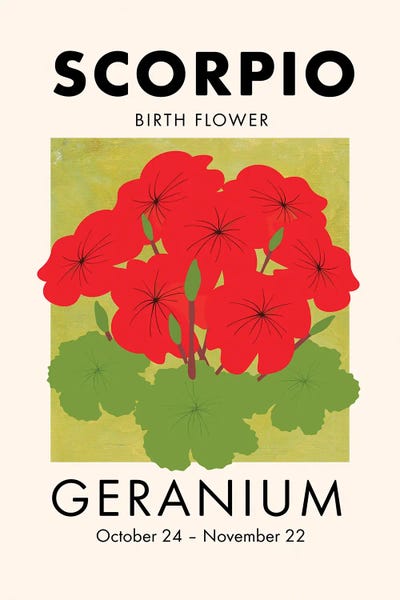 Scorpio Birth Flower by Jania Sharipzhanova art print
