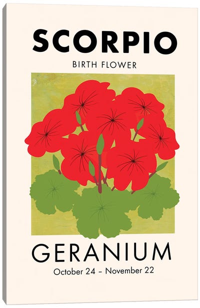 Scorpio Birth Flower Canvas Art Print - Geranium Art