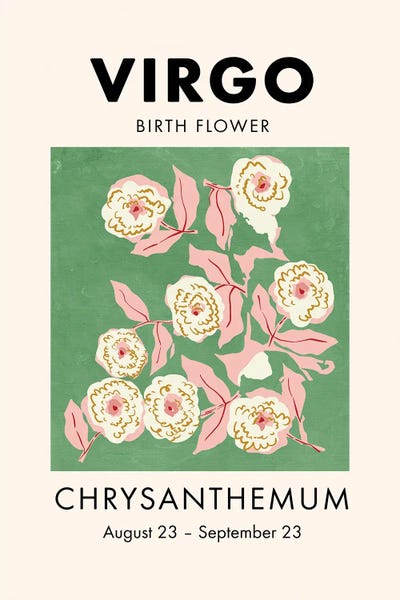 Chrysanthemums: Virgo Birth Flower by Jania Sharipzhanova