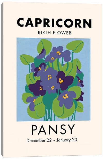 Capricorn Birth Flower Canvas Art Print - Pansies