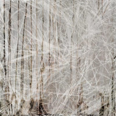 Neutral Drift II by Sia Aryai framed canvas print