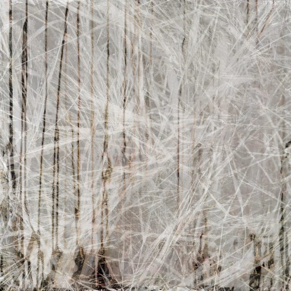 Sia Aryai: Neutral Drift II by Sia Aryai