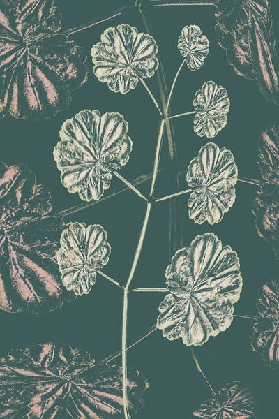 Fine Art Print: Folio II by Sia Aryai