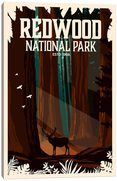 Redwood National Park Canvas Art Print - National Parks Travel Posters