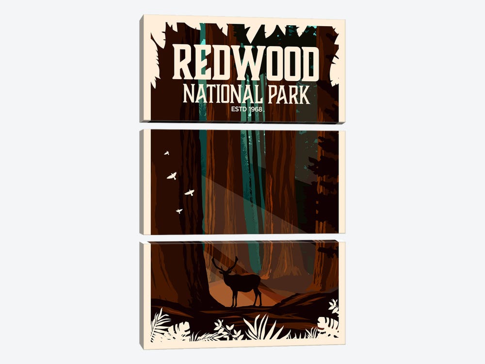 Redwood National Park by Studio Inception 3-piece Canvas Print