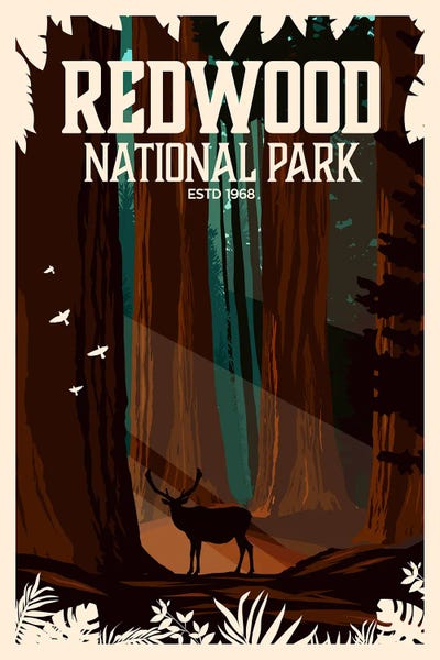 National Parks Travel Posters: Redwood National Park by Studio Inception